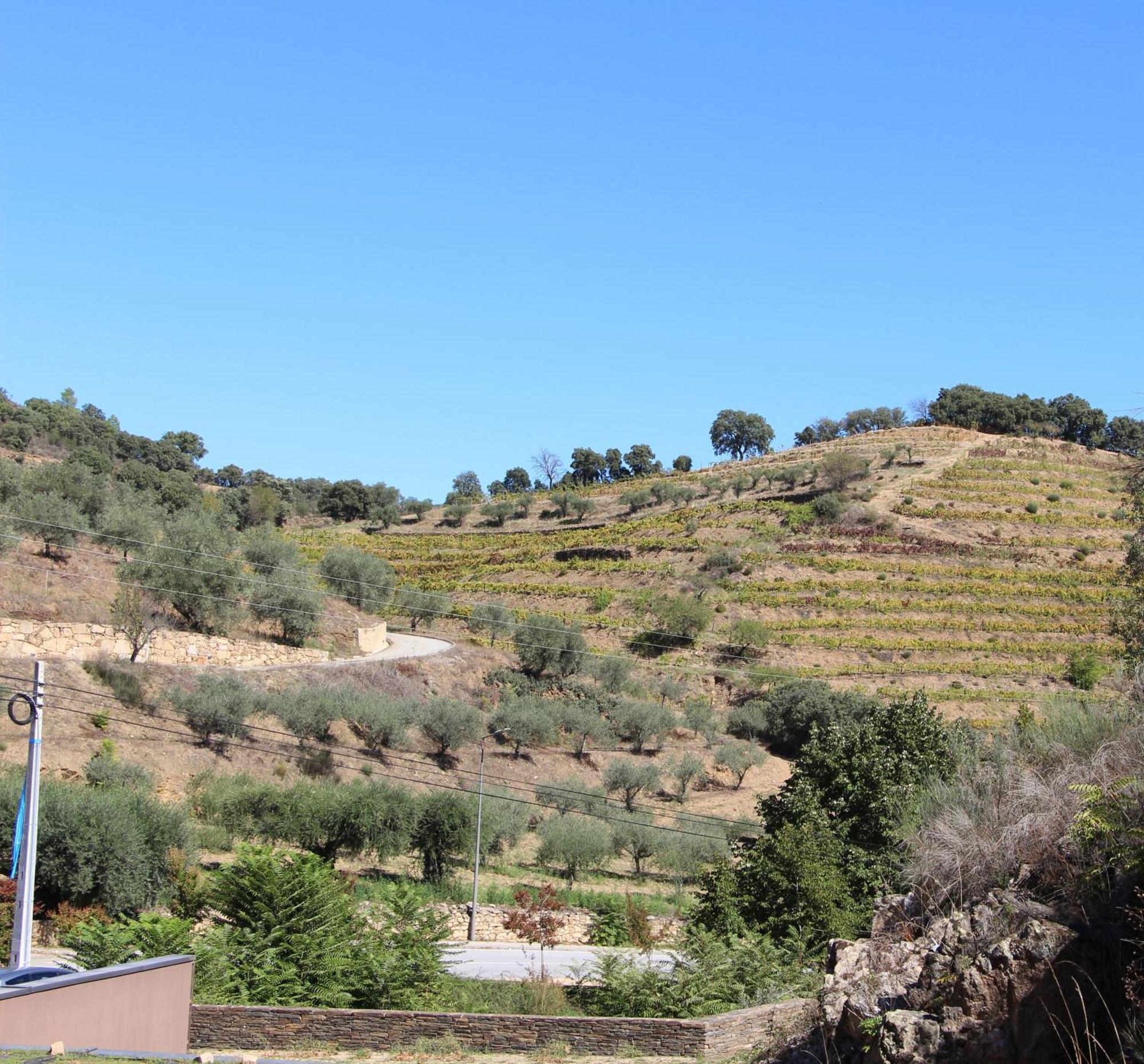 Longroiva Hotel Rural Εξωτερικό φωτογραφία